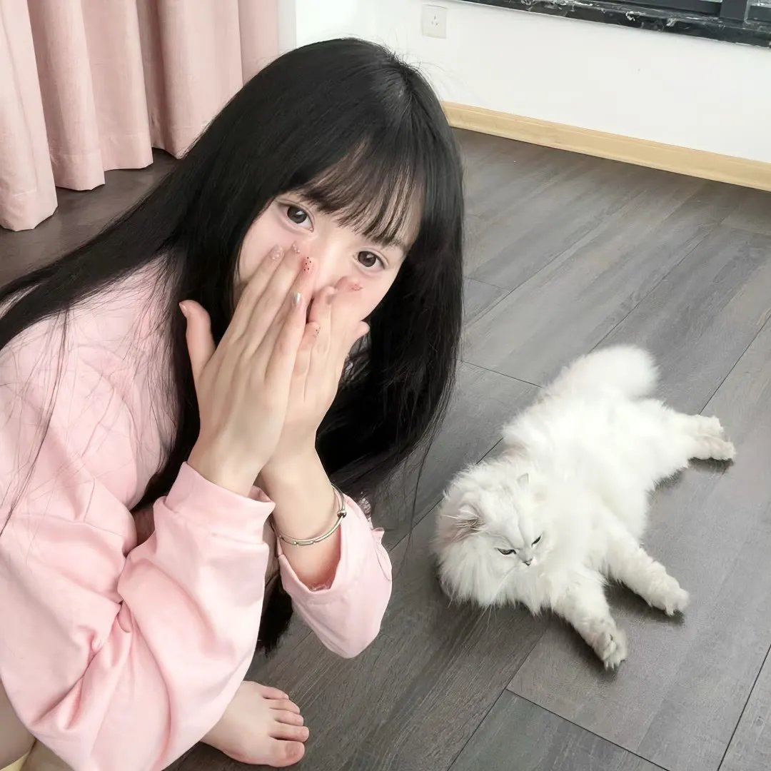 零之使魔3～三美姬的轮舞～